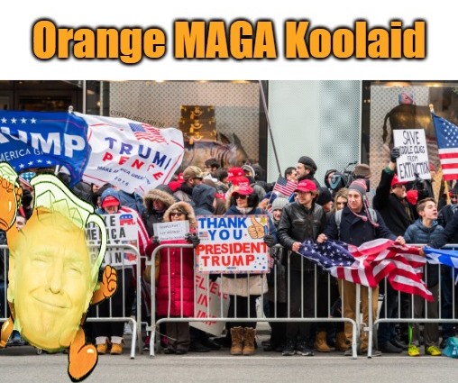 Trump Orange Koolaid MAGA Supporter Blank Meme Template
