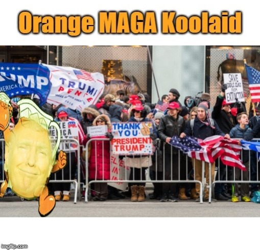 Trump Orange Koolaid MAGA Supporter | image tagged in trump orange koolaid maga supporter | made w/ Imgflip meme maker