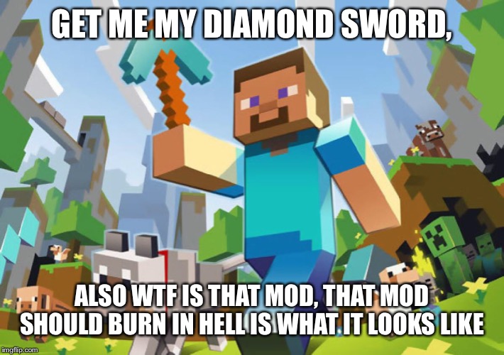 Minecraft  | GET ME MY DIAMOND SWORD, ALSO WTF IS THAT MOD, THAT MOD SHOULD BURN IN HELL IS WHAT IT LOOKS LIKE | image tagged in minecraft | made w/ Imgflip meme maker