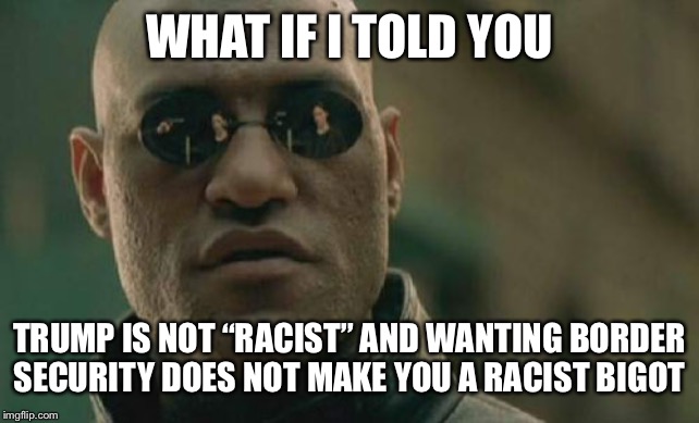 Matrix Morpheus Meme | WHAT IF I TOLD YOU TRUMP IS NOT “RACIST” AND WANTING BORDER SECURITY DOES NOT MAKE YOU A RACIST BIGOT | image tagged in memes,matrix morpheus | made w/ Imgflip meme maker
