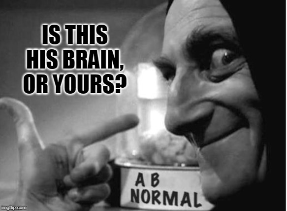 ABBY NORMAL <3 YOU | IS THIS HIS BRAIN, OR YOURS? | image tagged in abby normal 3 you | made w/ Imgflip meme maker