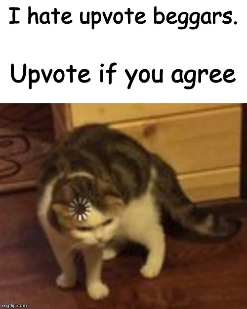 Loading cat | I hate upvote beggars. Upvote if you agree | image tagged in loading cat,memes,funny memes,funny meme,funny,fun | made w/ Imgflip meme maker