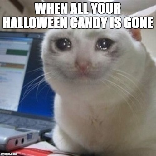 Crying cat | WHEN ALL YOUR HALLOWEEN CANDY IS GONE | image tagged in crying cat | made w/ Imgflip meme maker