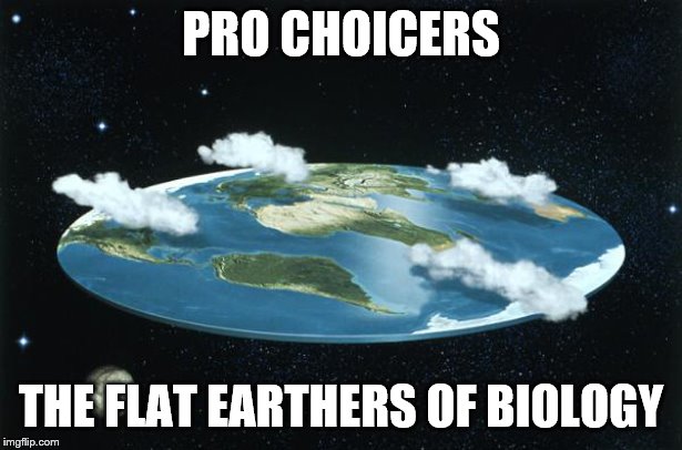 Thanks to JeremyGoff for the inspiration! | PRO CHOICERS; THE FLAT EARTHERS OF BIOLOGY | image tagged in flat earth,funny memes,politics,science,abortion | made w/ Imgflip meme maker