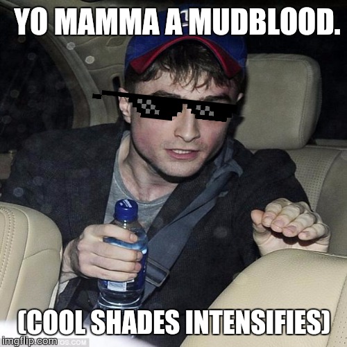 harry potter crazy | YO MAMMA A MUDBLOOD. (COOL SHADES INTENSIFIES) | image tagged in harry potter crazy | made w/ Imgflip meme maker