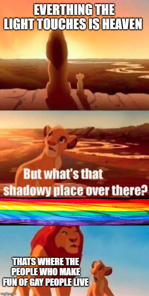 Simba Shadowy Place |  EVERTHING THE LIGHT TOUCHES IS HEAVEN; THATS WHERE THE PEOPLE WHO MAKE FUN OF GAY PEOPLE LIVE | image tagged in memes,simba shadowy place | made w/ Imgflip meme maker