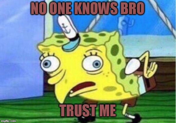 Mocking Spongebob Meme | NO ONE KNOWS BRO TRUST ME | image tagged in memes,mocking spongebob | made w/ Imgflip meme maker