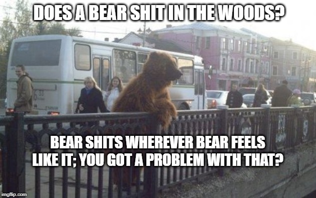 City Bear | DOES A BEAR SHIT IN THE WOODS? BEAR SHITS WHEREVER BEAR FEELS LIKE IT; YOU GOT A PROBLEM WITH THAT? | image tagged in memes,city bear | made w/ Imgflip meme maker