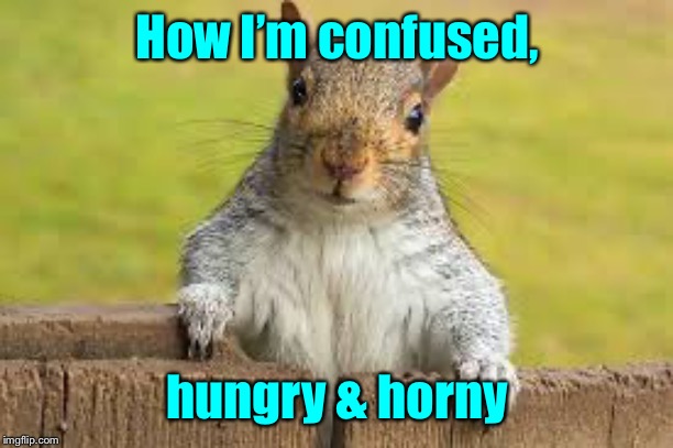 How I’m confused, hungry & horny | made w/ Imgflip meme maker