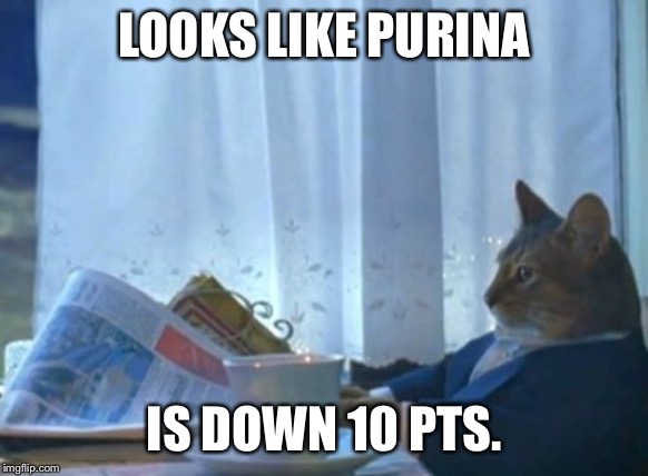I Should Buy A Boat Cat | LOOKS LIKE PURINA; IS DOWN 10 PTS. | image tagged in memes,i should buy a boat cat | made w/ Imgflip meme maker