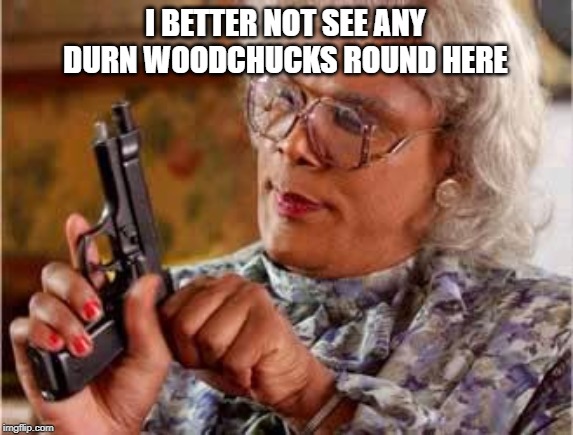 Madea with Gun | I BETTER NOT SEE ANY DURN WOODCHUCKS ROUND HERE | image tagged in madea with gun | made w/ Imgflip meme maker