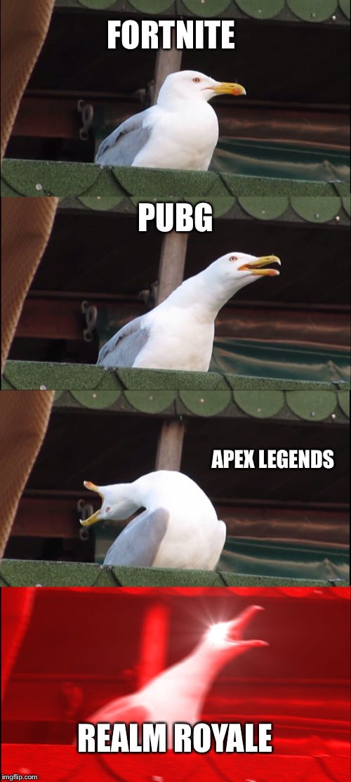 Inhaling Seagull Meme | FORTNITE; PUBG; APEX LEGENDS; REALM ROYALE | image tagged in memes,inhaling seagull | made w/ Imgflip meme maker