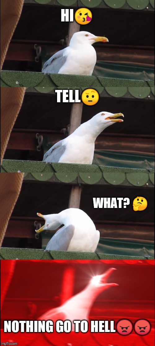 Inhaling Seagull | HI😘; TELL🤨; WHAT? 🤔; NOTHING GO TO HELL😠😠 | image tagged in memes,inhaling seagull | made w/ Imgflip meme maker