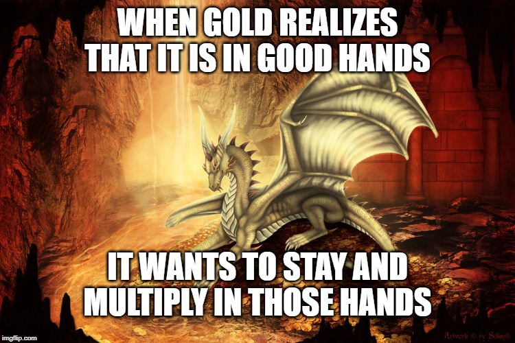 Anarcho-Dragonism | WHEN GOLD REALIZES THAT IT IS IN GOOD HANDS; IT WANTS TO STAY AND MULTIPLY IN THOSE HANDS | image tagged in anarchy,dragon,gold,hoarding,anarcho-dragonism,memes | made w/ Imgflip meme maker