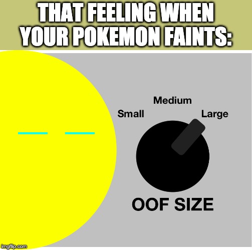 Oof Size Kibble |  THAT FEELING WHEN YOUR POKEMON FAINTS: | image tagged in oof size kibble | made w/ Imgflip meme maker