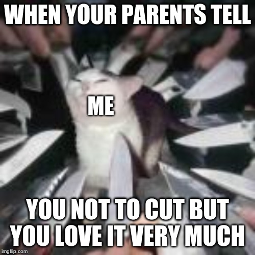 I can't help me no more. I wanna die soooooo bad. | WHEN YOUR PARENTS TELL; ME; YOU NOT TO CUT BUT YOU LOVE IT VERY MUCH | made w/ Imgflip meme maker