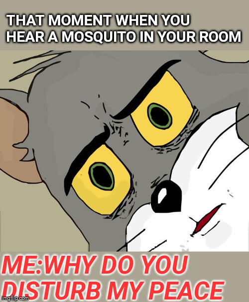 Unsettled Tom Meme | THAT MOMENT WHEN YOU HEAR A MOSQUITO IN YOUR ROOM; ME:WHY DO YOU DISTURB MY PEACE | image tagged in memes,unsettled tom | made w/ Imgflip meme maker