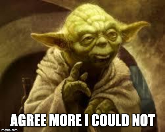 yoda | AGREE MORE I COULD NOT | image tagged in yoda | made w/ Imgflip meme maker