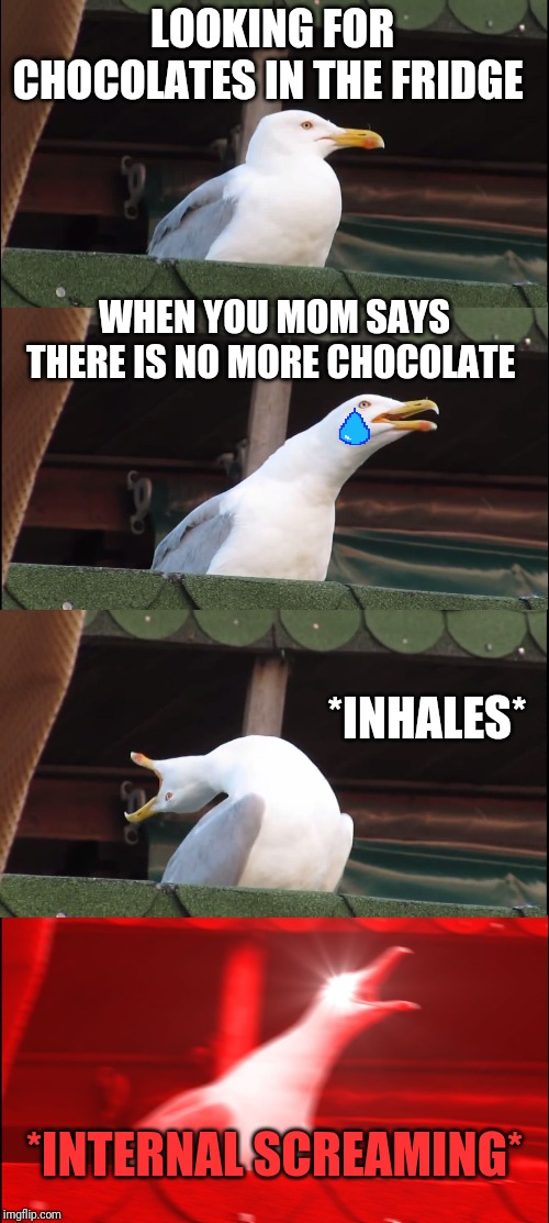 Inhaling Seagull | LOOKING FOR CHOCOLATES IN THE FRIDGE; WHEN YOU MOM SAYS THERE IS NO MORE CHOCOLATE; *INHALES*; *INTERNAL SCREAMING* | image tagged in memes,inhaling seagull | made w/ Imgflip meme maker