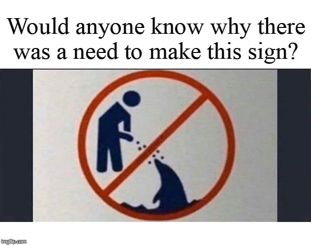 Would anyone know why there was a need to make this sign? COVELL BELLAMY III | image tagged in why the need for the sign | made w/ Imgflip meme maker