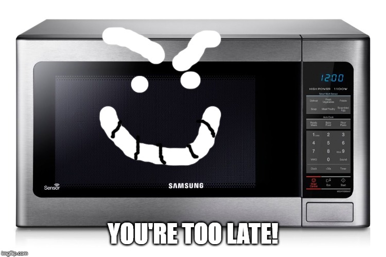 microwave | YOU'RE TOO LATE! | image tagged in microwave | made w/ Imgflip meme maker