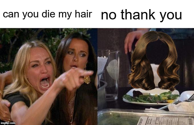 Woman Yelling At Cat Meme | can you die my hair; no thank you | image tagged in memes,woman yelling at cat | made w/ Imgflip meme maker
