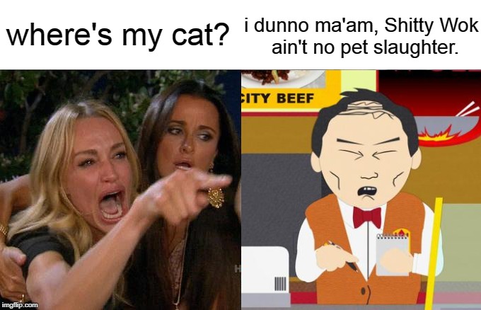 where's my cat? i dunno ma'am, Shitty Wok      ain't no pet slaughter. | image tagged in city wok,woman yelling at cat,china,south park | made w/ Imgflip meme maker