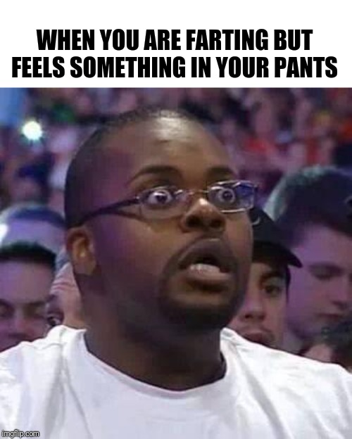 The New Face of the WWE after Wrestlemania 30 | WHEN YOU ARE FARTING BUT FEELS SOMETHING IN YOUR PANTS | image tagged in the new face of the wwe after wrestlemania 30 | made w/ Imgflip meme maker