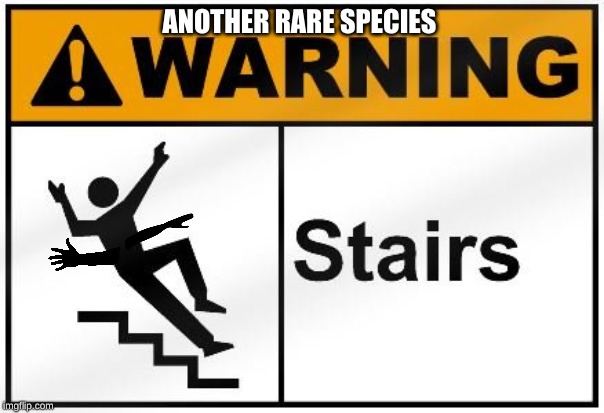 ANOTHER RARE SPECIES | image tagged in weird,wtf,funny | made w/ Imgflip meme maker