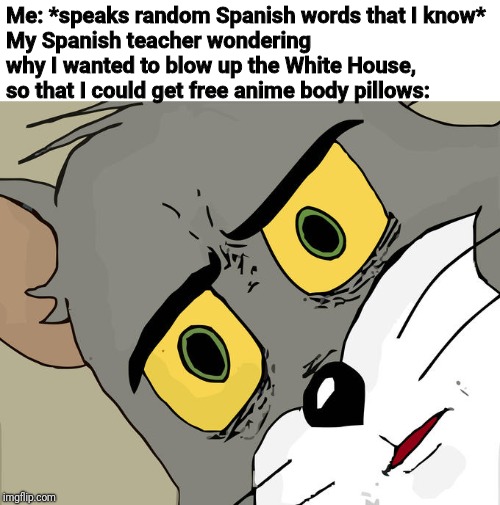 Be careful about what language you're speaking in | Me: *speaks random Spanish words that I know*
My Spanish teacher wondering why I wanted to blow up the White House, so that I could get free anime body pillows: | image tagged in memes,unsettled tom,spanish,teacher,school,wait are you really looking at this crap meme | made w/ Imgflip meme maker