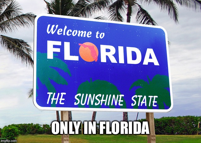Florida | ONLY IN FLORIDA | image tagged in florida | made w/ Imgflip meme maker