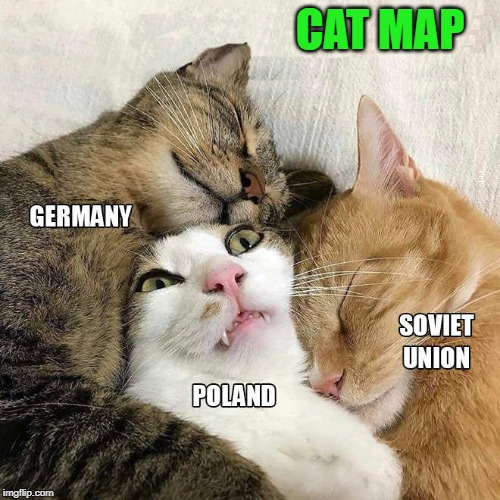 cat map | CAT MAP; GERMANY POLAND SOVIET UNION | image tagged in map,cats,kewlew | made w/ Imgflip meme maker