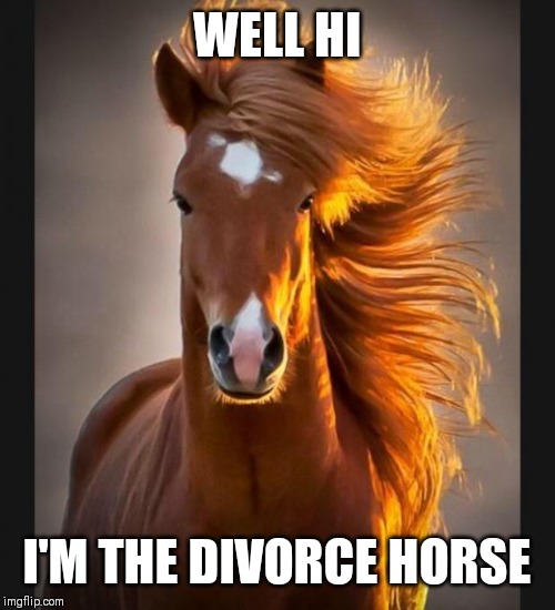 Horse | WELL HI I'M THE DIVORCE HORSE | image tagged in horse | made w/ Imgflip meme maker