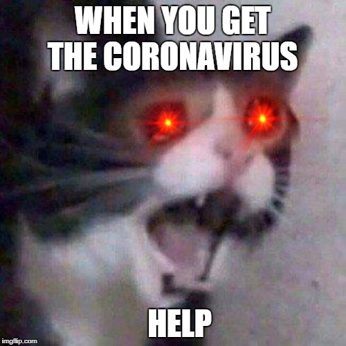 Screaming Cat | WHEN YOU GET THE CORONAVIRUS; HELP | image tagged in screaming cat | made w/ Imgflip meme maker