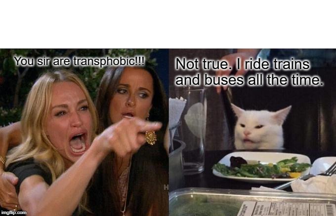 Woman Yelling At Cat | You sir are transphobic!!! Not true. I ride trains and buses all the time. | image tagged in memes,woman yelling at cat | made w/ Imgflip meme maker