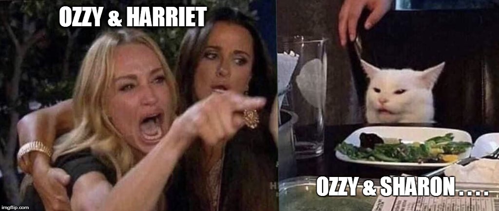 woman yelling at cat | OZZY & HARRIET; OZZY & SHARON . . . . | image tagged in woman yelling at cat | made w/ Imgflip meme maker