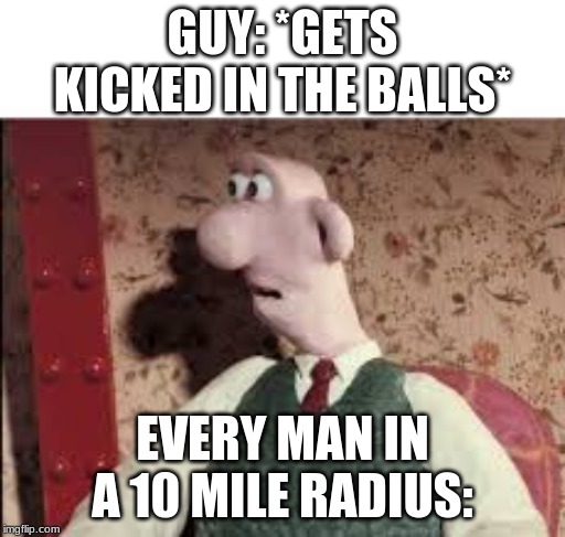Surprised Wallace | GUY: *GETS KICKED IN THE BALLS*; EVERY MAN IN A 10 MILE RADIUS: | image tagged in surprised wallace | made w/ Imgflip meme maker