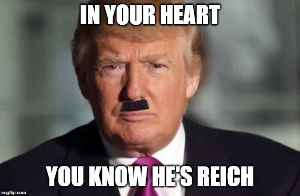 IN YOUR HEART; YOU KNOW HE'S REICH | image tagged in donald trump | made w/ Imgflip meme maker