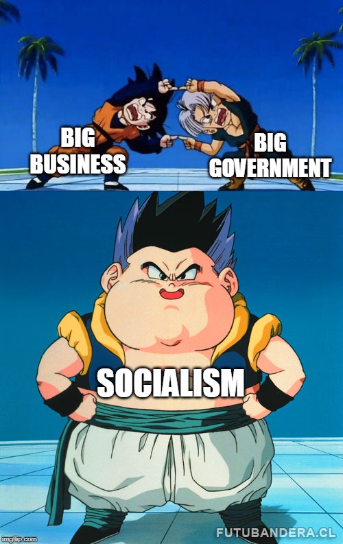 So why is combining fails a good thing? | BIG BUSINESS; BIG GOVERNMENT; SOCIALISM | image tagged in dbz fusion fail 2,big government,big business,socialism | made w/ Imgflip meme maker