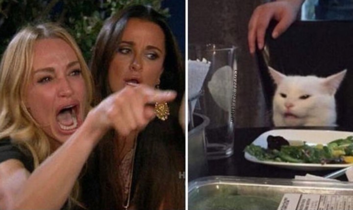 Woman Yelling At Cat Cat Splash Wet Pussy Blank Meme Template