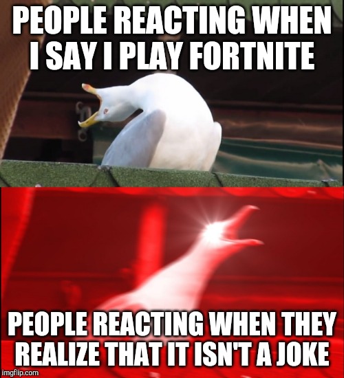 Screaming bird | PEOPLE REACTING WHEN I SAY I PLAY FORTNITE; PEOPLE REACTING WHEN THEY REALIZE THAT IT ISN'T A JOKE | image tagged in screaming bird | made w/ Imgflip meme maker