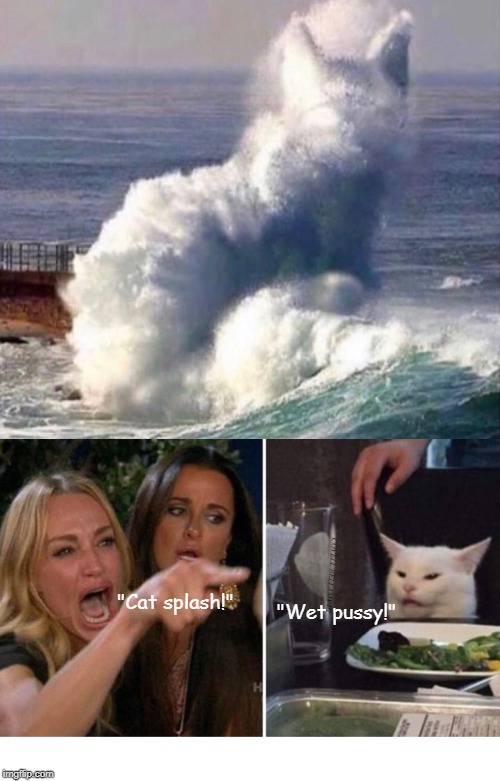 "Wet pussy!"; "Cat splash!" | image tagged in woman yelling at cat cat splash wet pussy | made w/ Imgflip meme maker