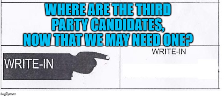 Write In Ballot | WHERE ARE THE THIRD PARTY CANDIDATES, NOW THAT WE MAY NEED ONE? | image tagged in write in ballot | made w/ Imgflip meme maker