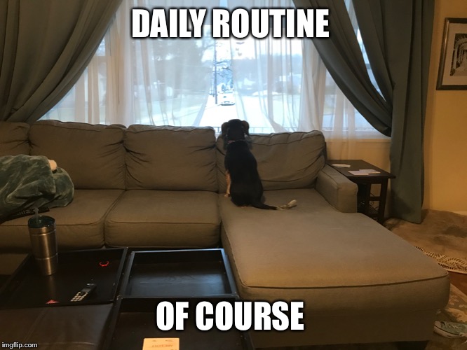 DAILY ROUTINE; OF COURSE | made w/ Imgflip meme maker