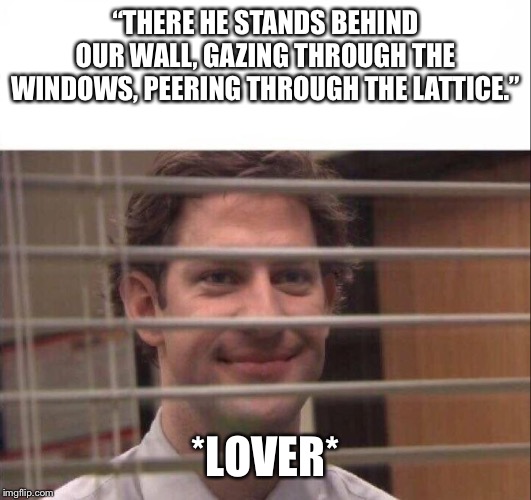 Jim Halpert | “THERE HE STANDS BEHIND OUR WALL, GAZING THROUGH THE WINDOWS, PEERING THROUGH THE LATTICE.”; *LOVER* | image tagged in jim halpert | made w/ Imgflip meme maker