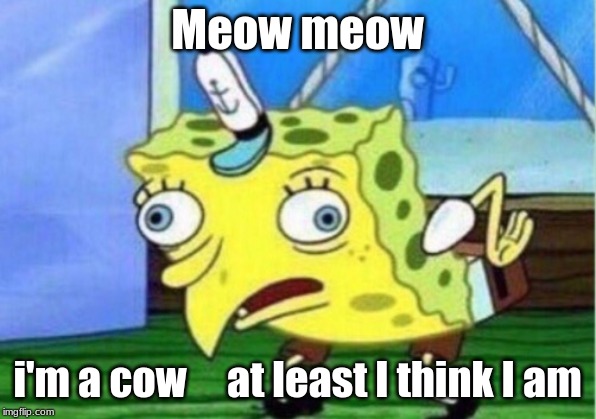 Mocking Spongebob | Meow meow; i'm a cow     at least I think I am | image tagged in memes,mocking spongebob | made w/ Imgflip meme maker