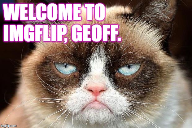 Grumpy Cat Not Amused Meme | WELCOME TO IMGFLIP, GEOFF. | image tagged in memes,grumpy cat not amused,grumpy cat | made w/ Imgflip meme maker