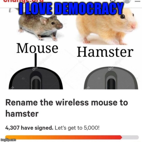 Democracy is amazing | I LOVE DEMOCRACY | image tagged in i love democracy,fun,funny,pc,laptop,computer | made w/ Imgflip meme maker