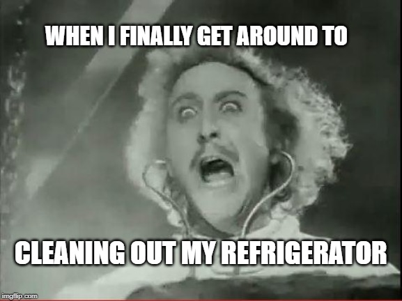 Young Frankenstein | WHEN I FINALLY GET AROUND TO; CLEANING OUT MY REFRIGERATOR | image tagged in young frankenstein | made w/ Imgflip meme maker