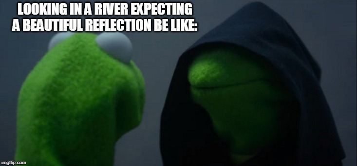 Evil Kermit | LOOKING IN A RIVER EXPECTING A BEAUTIFUL REFLECTION BE LIKE: | image tagged in memes,evil kermit | made w/ Imgflip meme maker